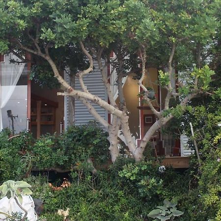 Quirky Eco-Friendly Artist Studio ケープタウン エクステリア 写真