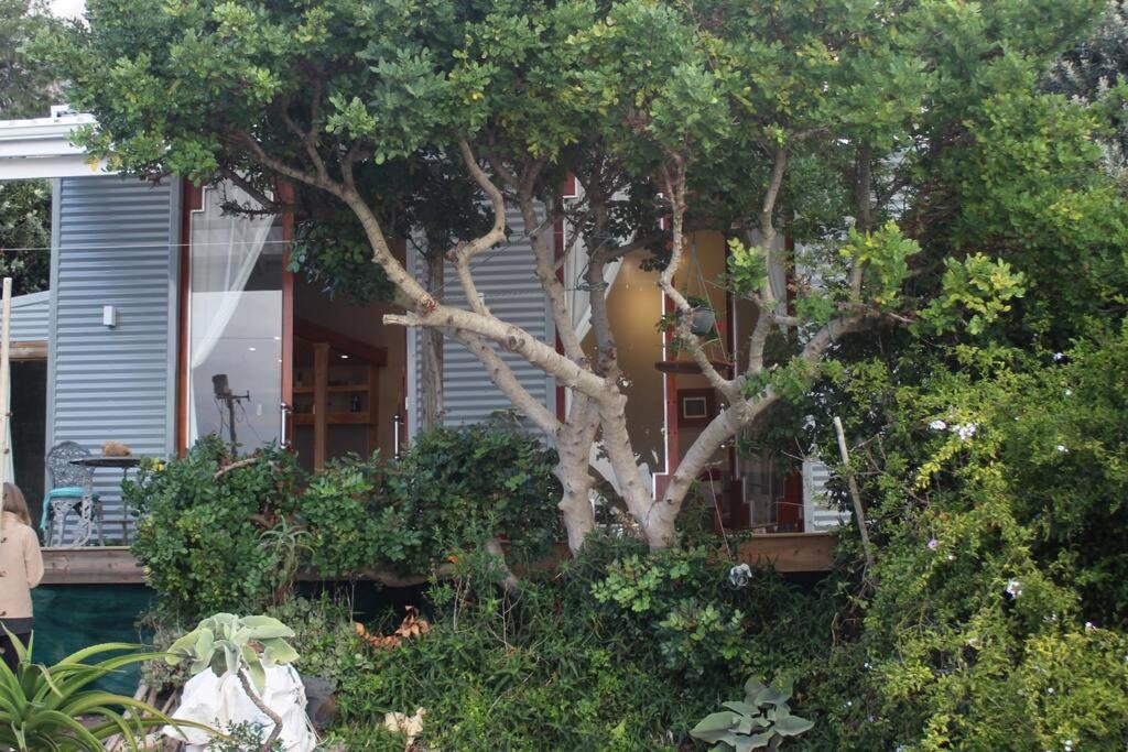 Quirky Eco-Friendly Artist Studio ケープタウン エクステリア 写真